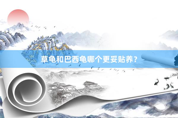 草龟和巴西龟哪个更妥贴养？
